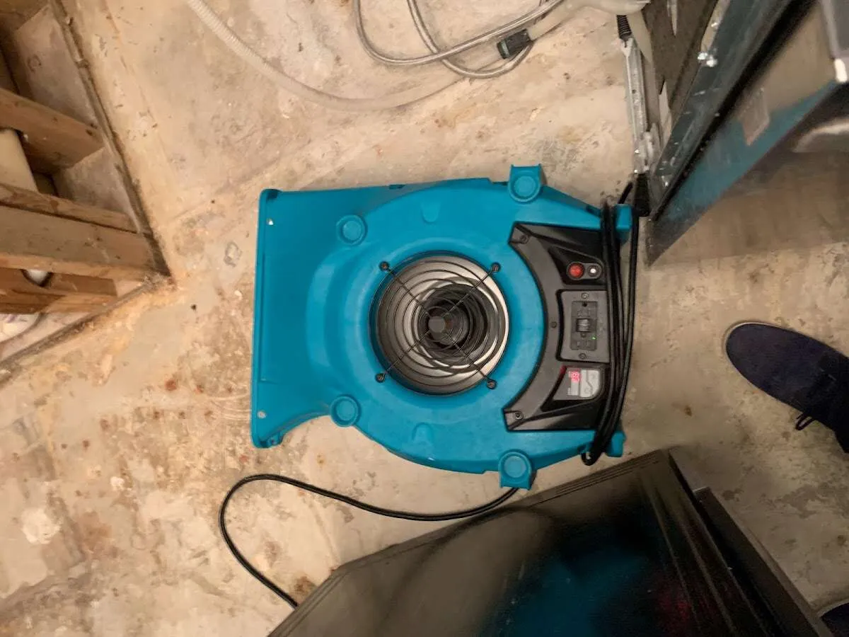 Air mover drying equipment for Mold Remediation & Removal in Burnsville